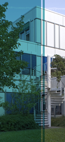Freie Uni Berlin